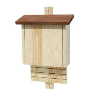 Nichoir Chauve-Souris